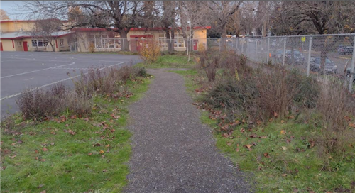 Sensory Garden